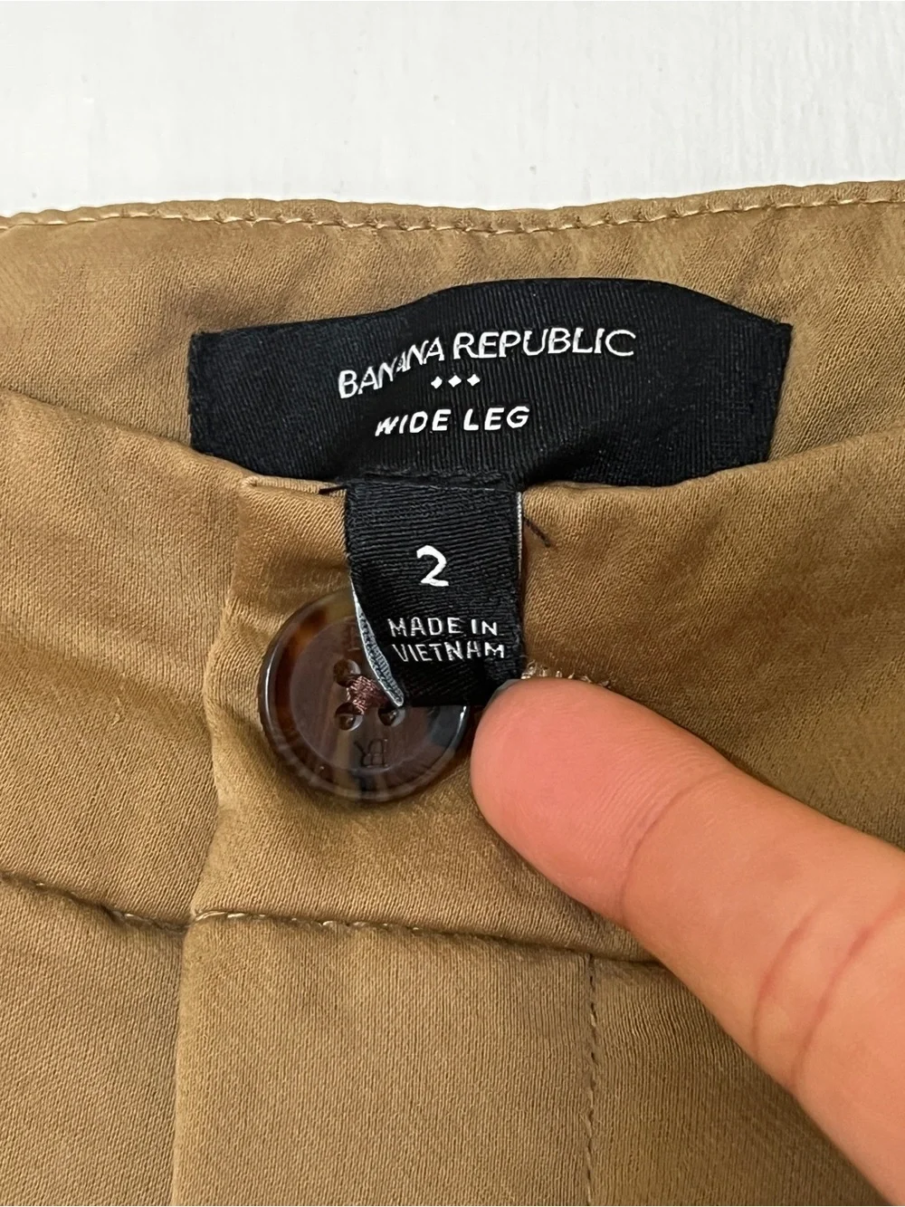 Banana Republic Wide-Leg Pleated Chinos in Camel